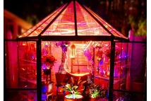 Szklarnie ogrodowe - Ekskluzywna szklarnia z aluminium Oasis w świetlno-kwiatowej aranżacji